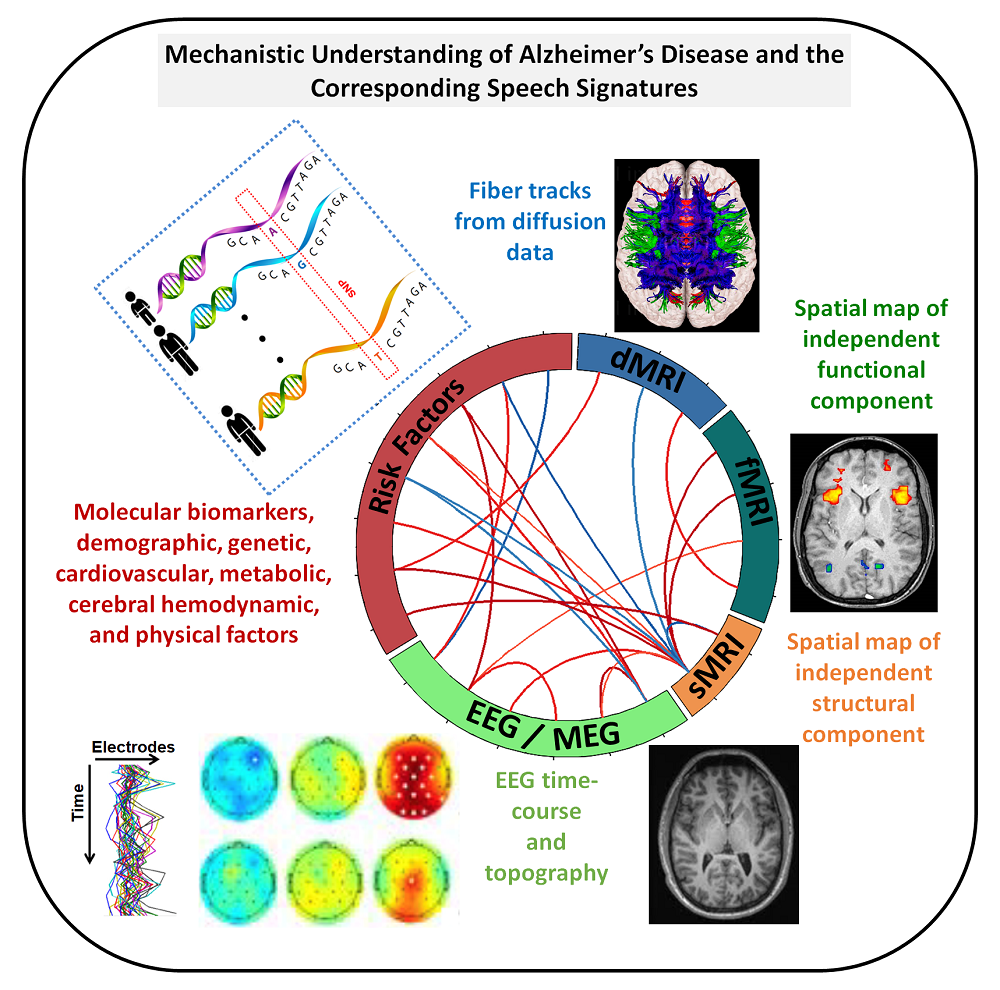 images of brain scans with descriptions