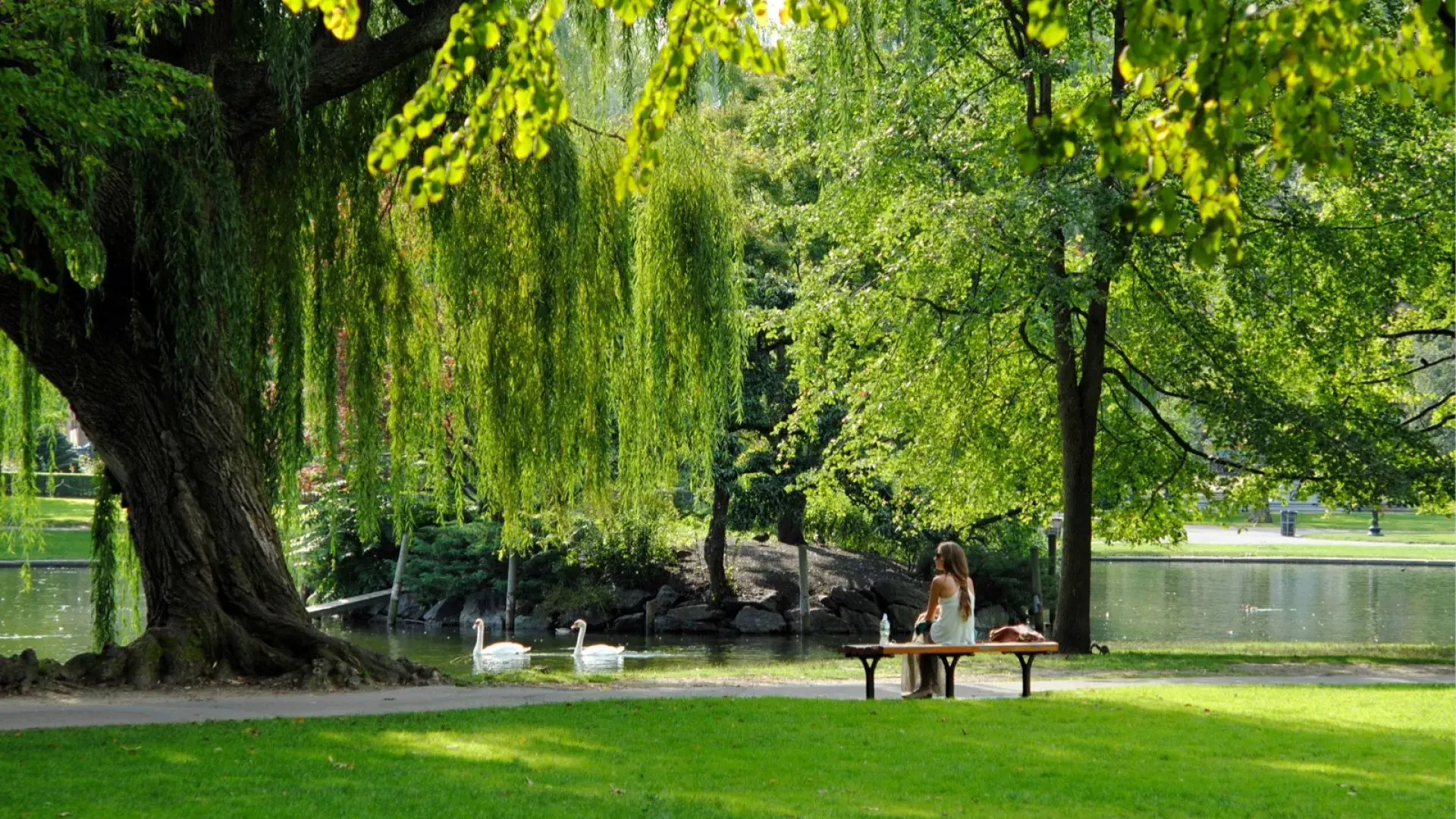 Boston Commons 