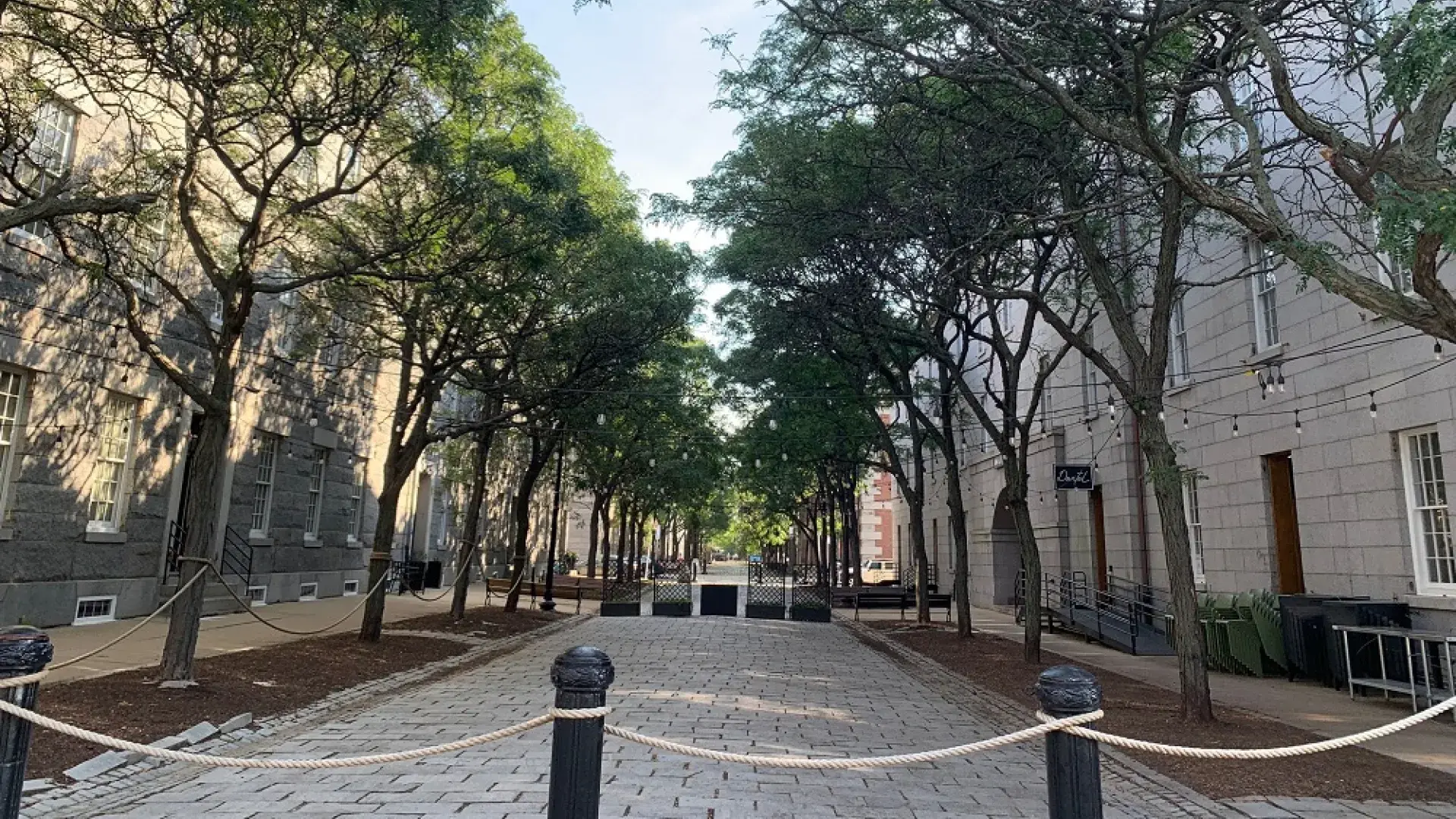 stone path leads through trees in bloom