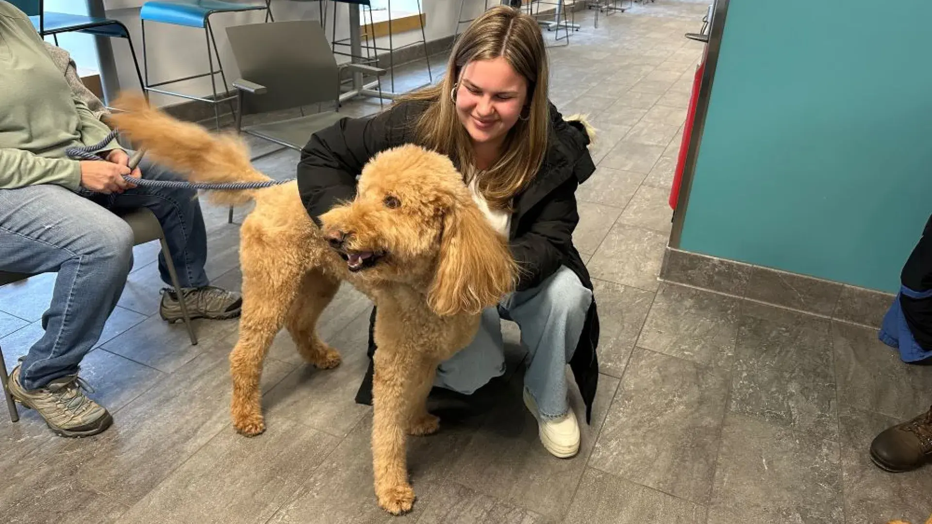 A woman kneels next to a dog