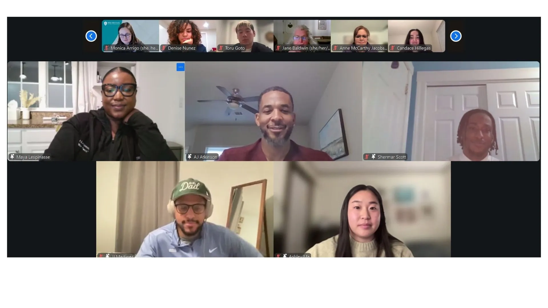 people on zoom call