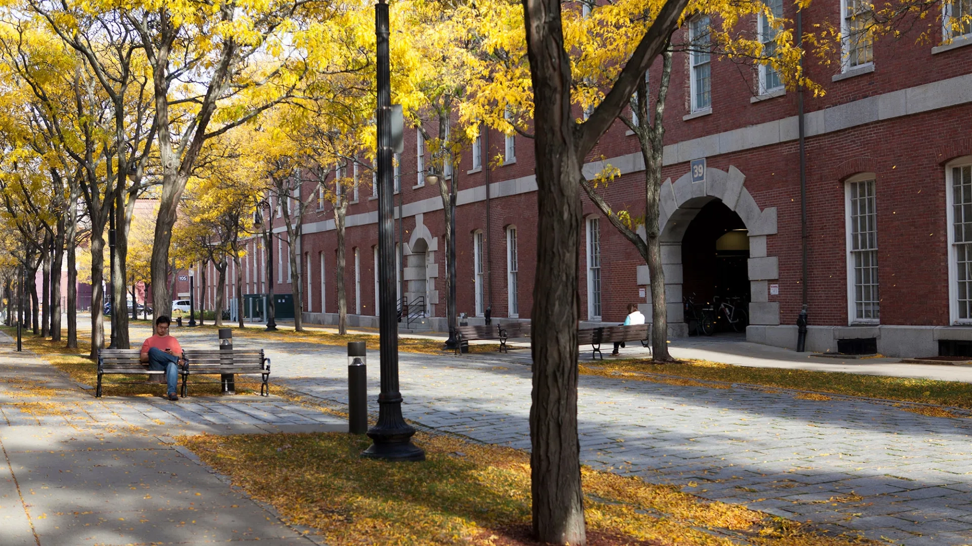 a yellow leafed tree lined pathway in front of a brick building