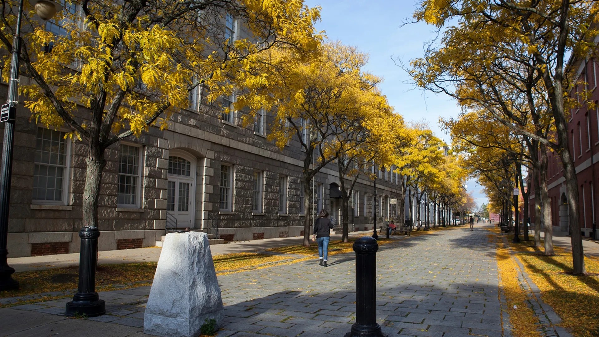 cobblestone pathway lined by yellow-leafed fall trees and brick buildings