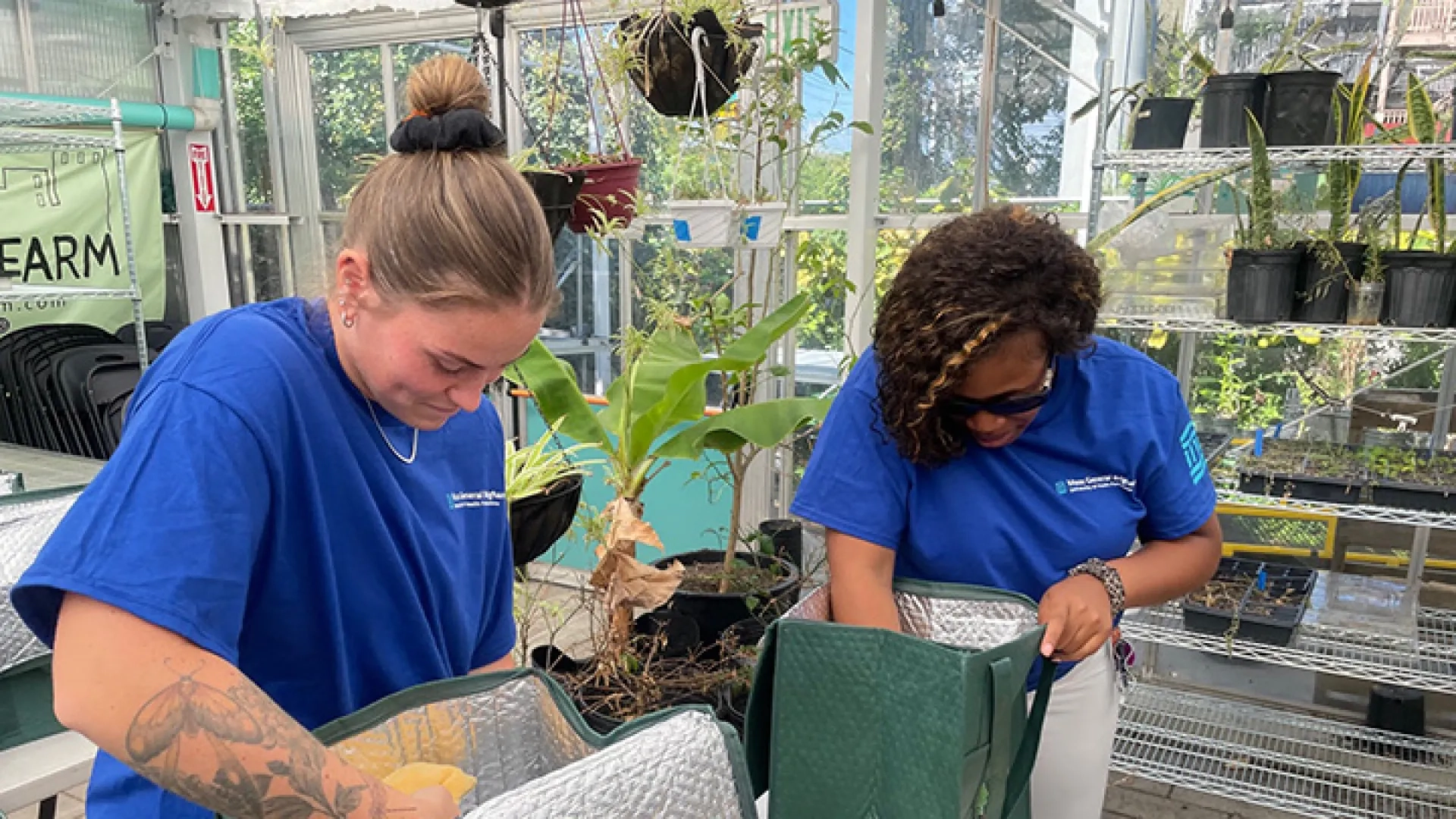 Two women in blue shirts sanitize reusable grocery bags in a greenhouse
