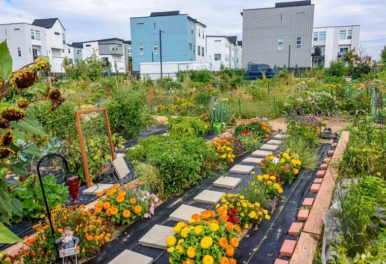 rows of green plants and flowers in front of apartment buildings