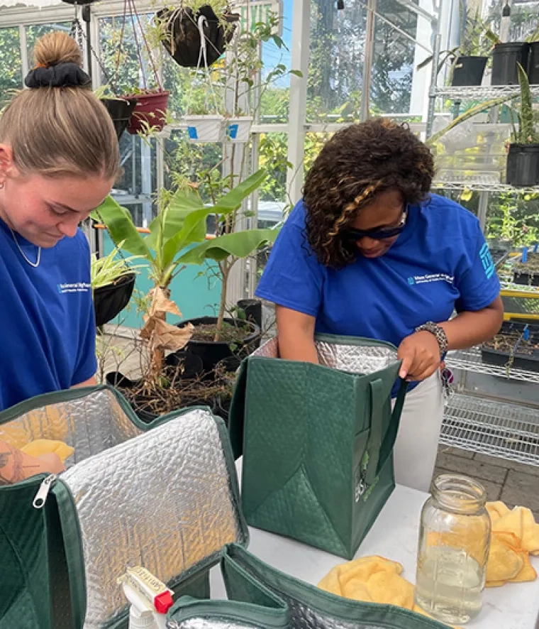 Two women in blue shirts sanitize reusable grocery bags in a greenhouse