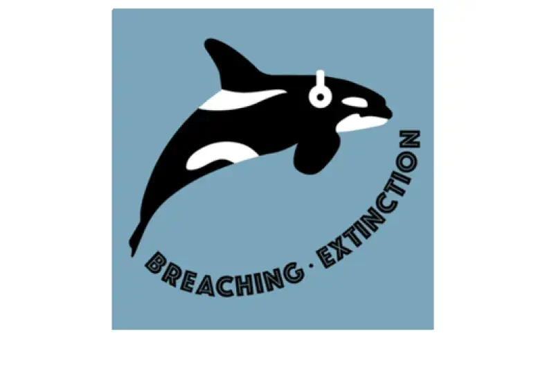 dolphin